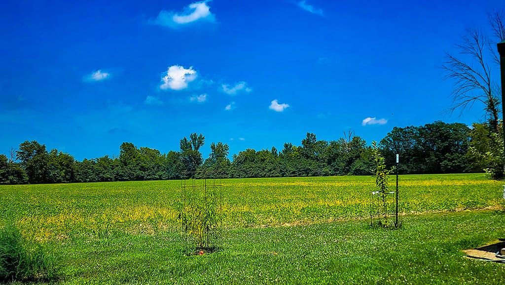 country yard