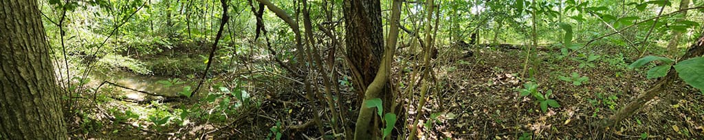 creek in panorama