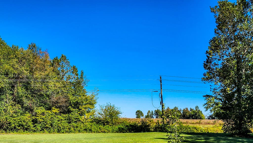 trees not yet changing for fall