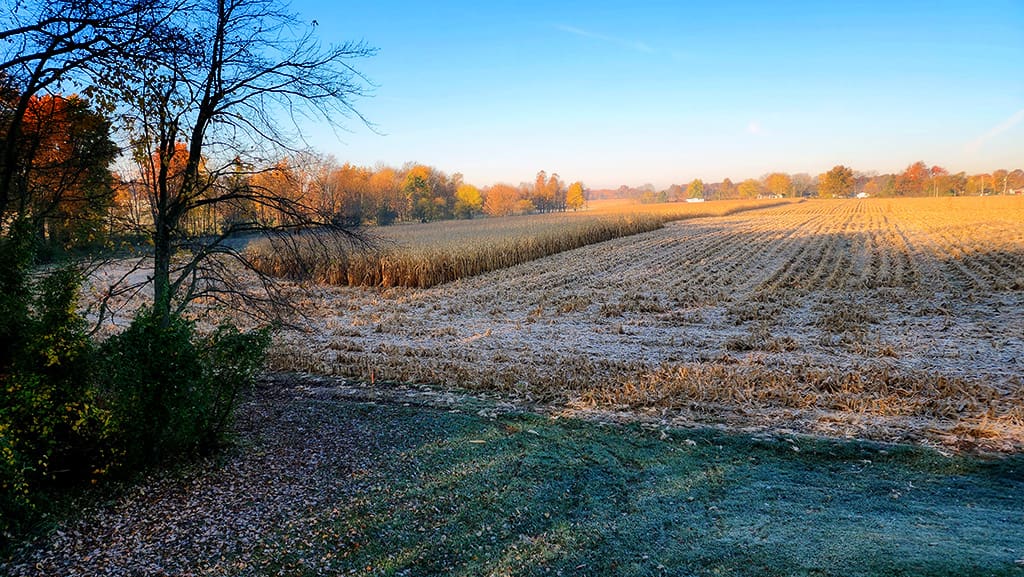 frost on the pumpkin in Indiana