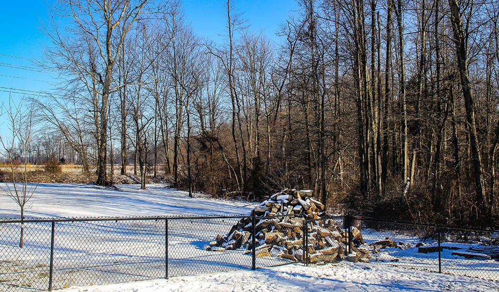 wood pile in the snow