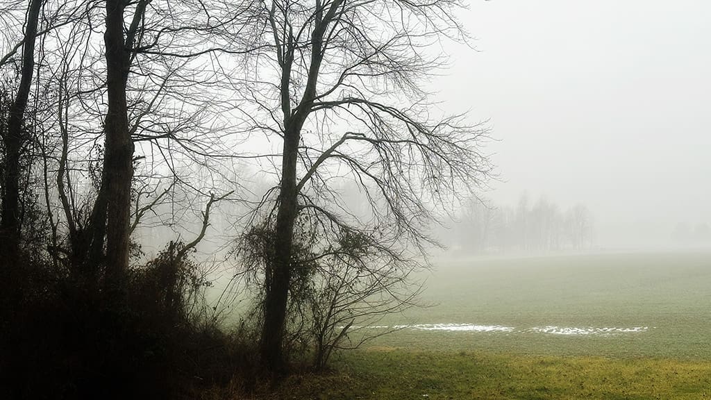 the pesky neighbors are hidden in a fog bank