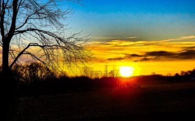 end of the day in rural indiana looks like…