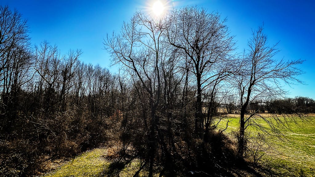 sky overlooking field and trees in winter