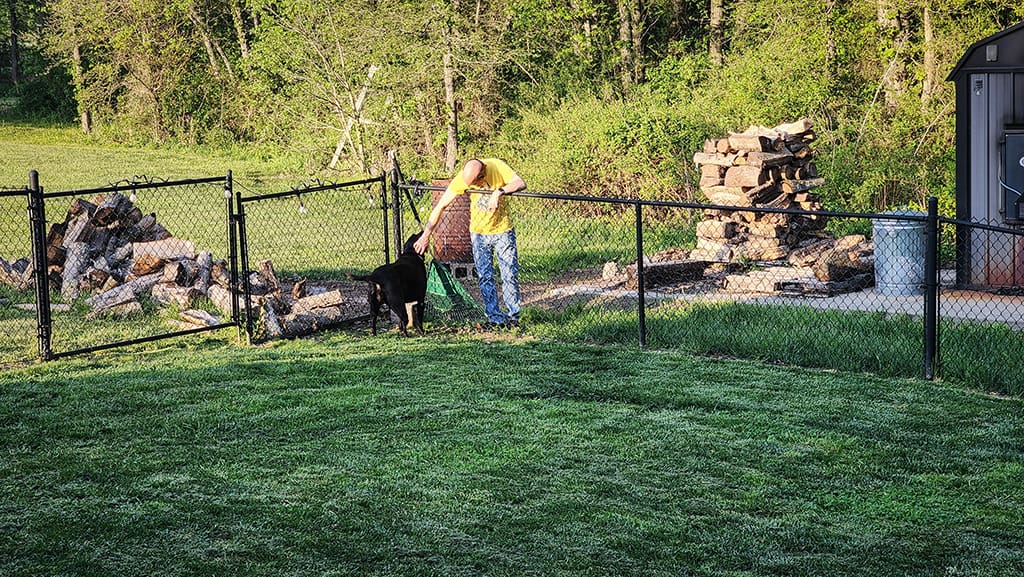 take time to smell the roses — and pet your dog