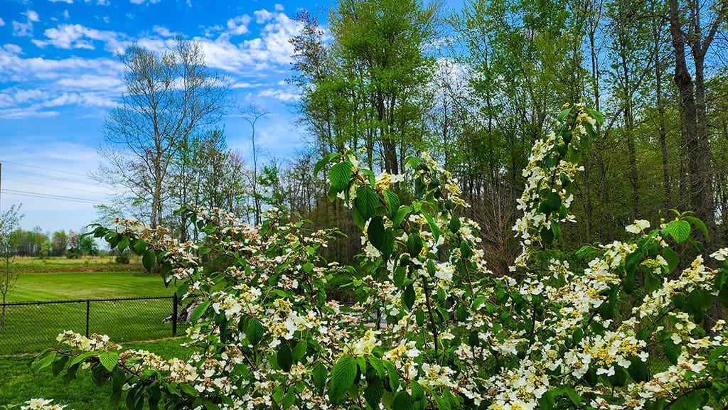 minimizing time and effort in landscaping