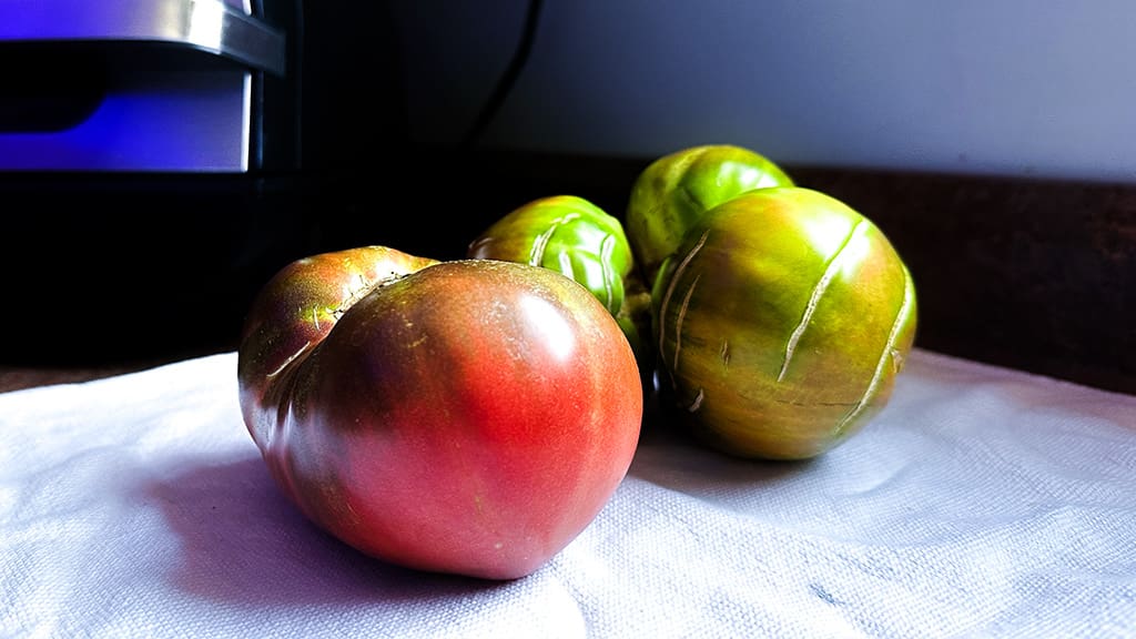 one of the most delicious tomato varieties