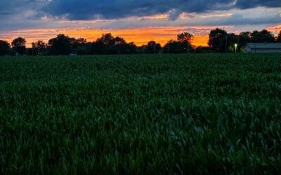 sunset coming to you from rural Indiana